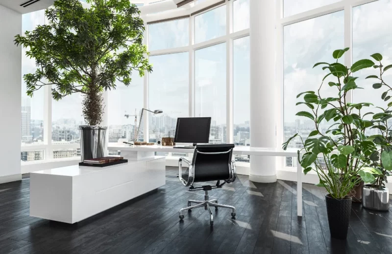 What Trends in Workspace Design Do Modern People Like?